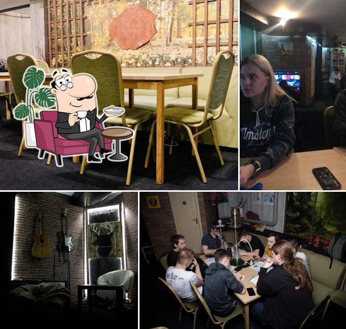 Интерьер "Антикафе «Лес»"