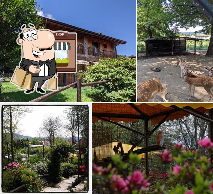 Agriturismo il Vecchio Castagno