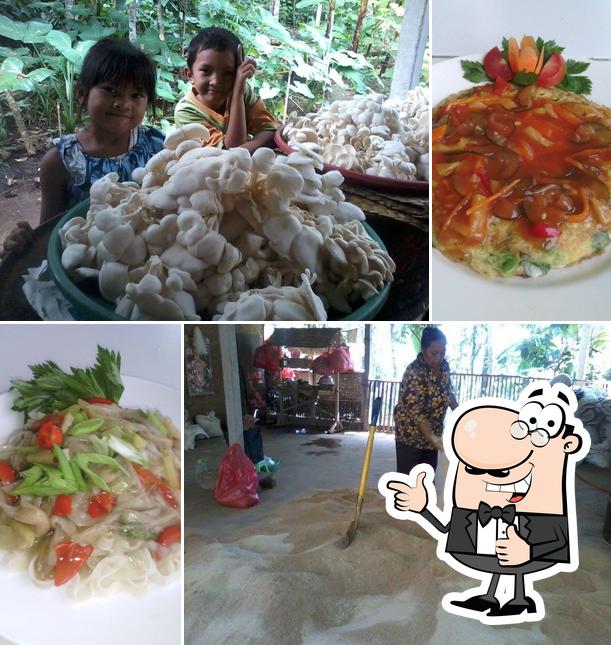Shinta's Mushroom Hut