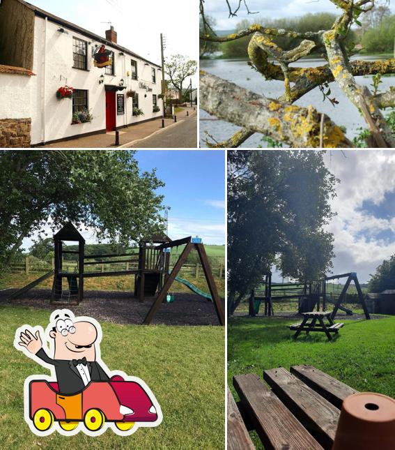 Stoke Canon Inn