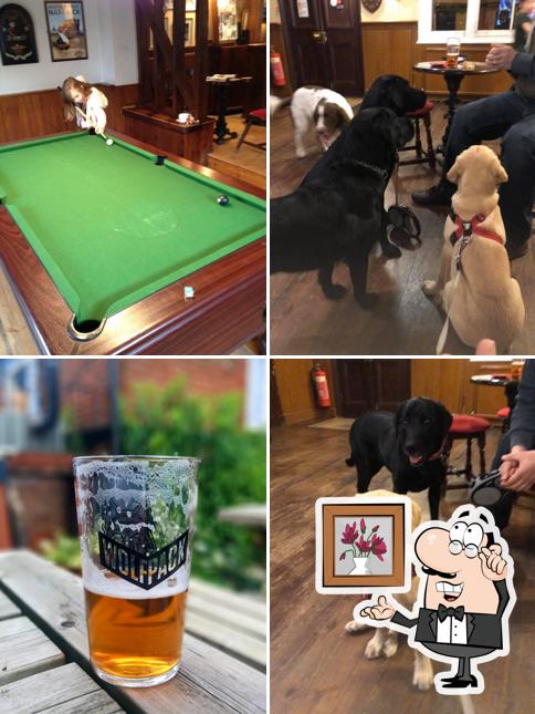 The Greyhound