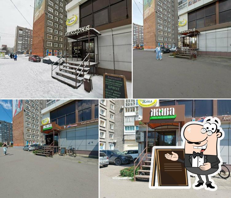 Жива