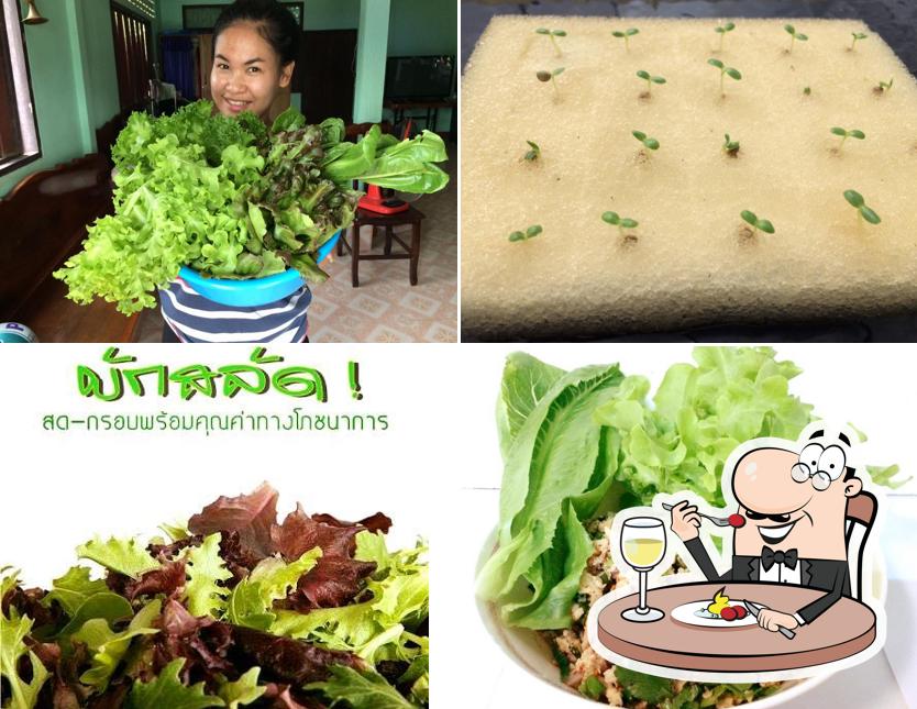 บ้านผัก"ท่านรอง"