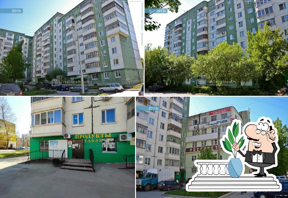 Камелия