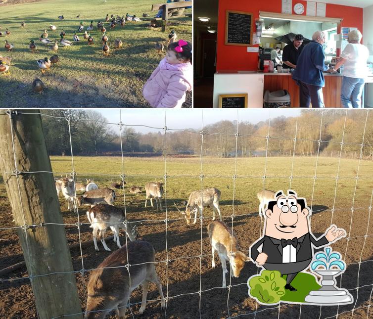 The Puddle Cafe & Restaurant