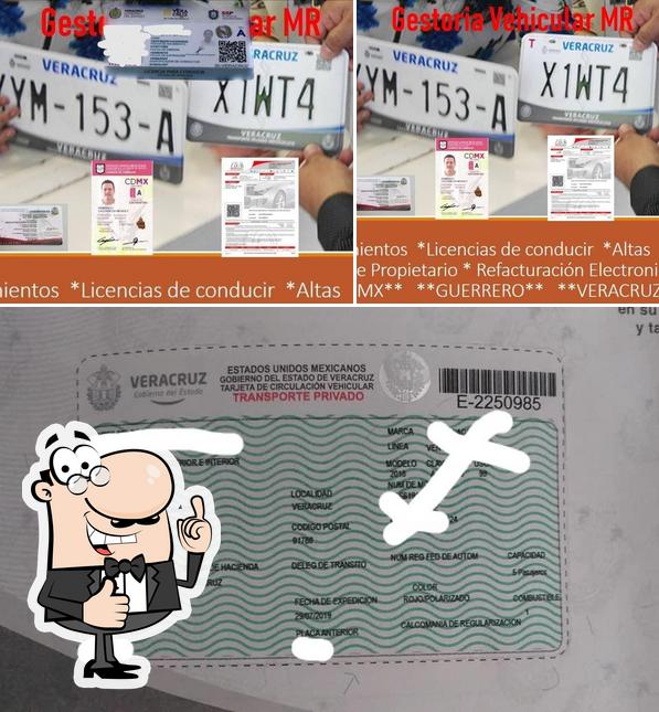 Gestoría Vehicular MR