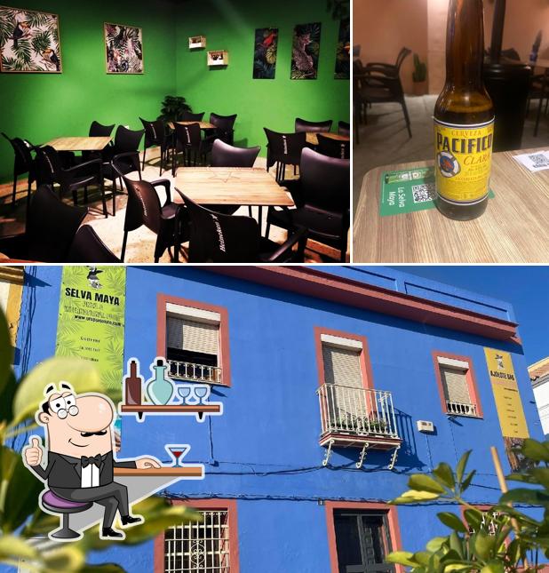 Pizzería Selva Maya
