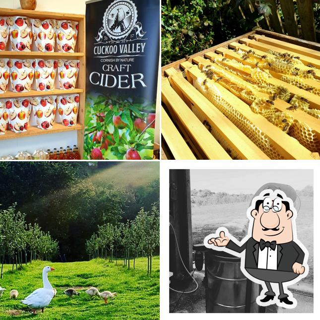 Cuckoo Valley Cider