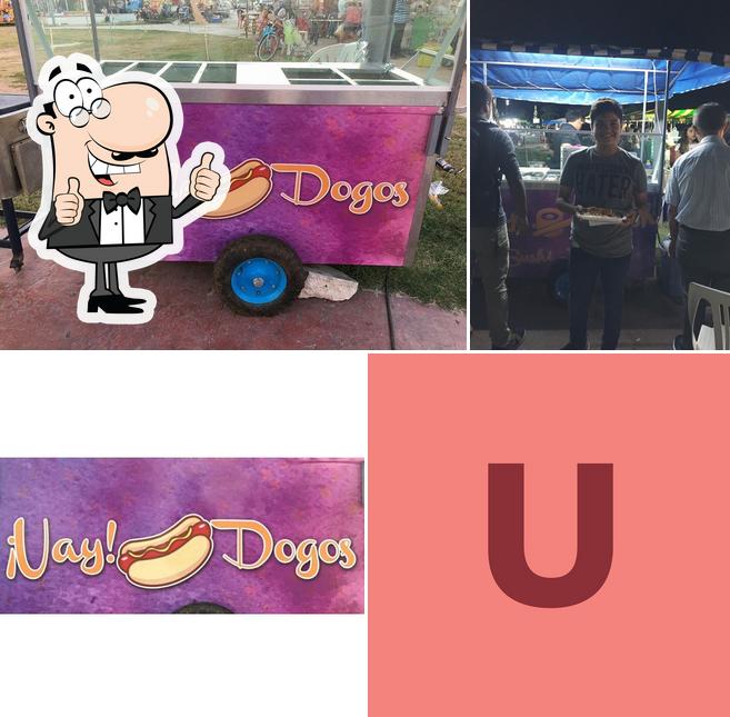 Uay-Dogos