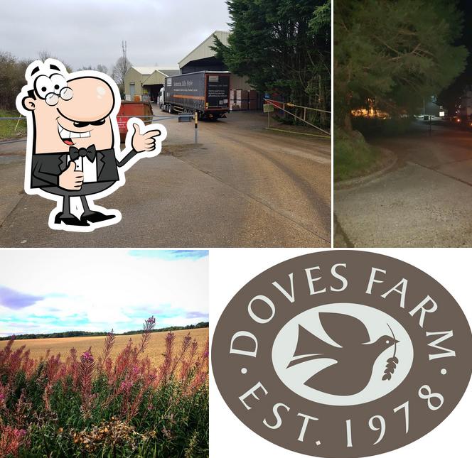 Doves Farm Foods Ltd