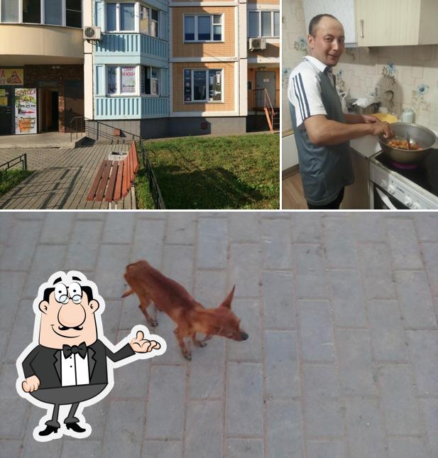 Миюши