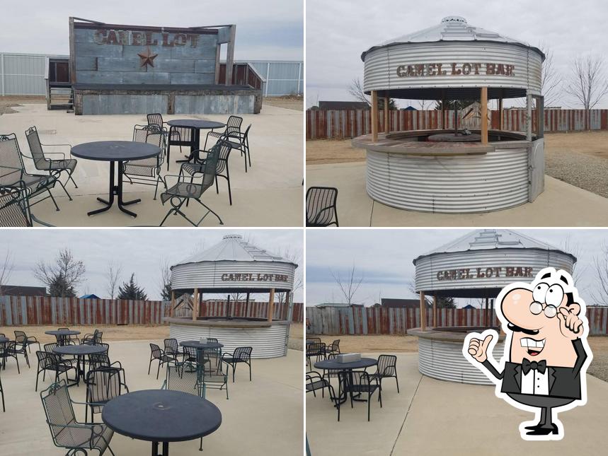Camel Lot Bar