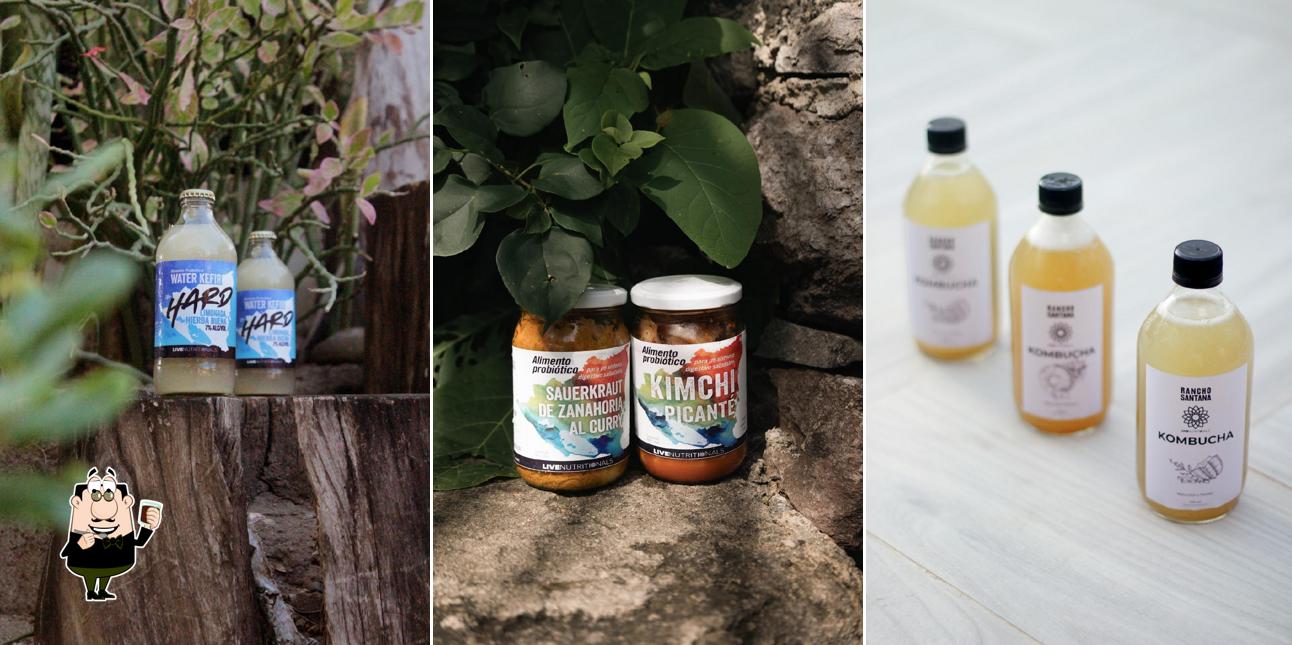 The Tap House by Live Nutritionals