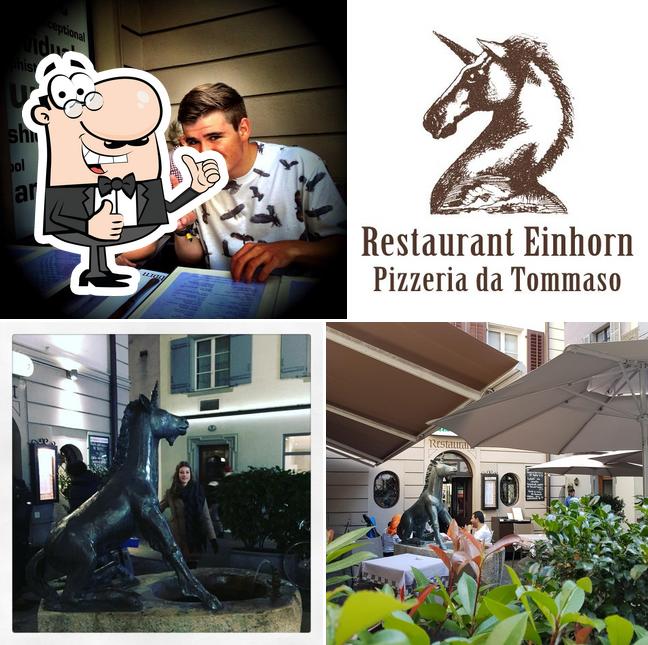 Einhorn