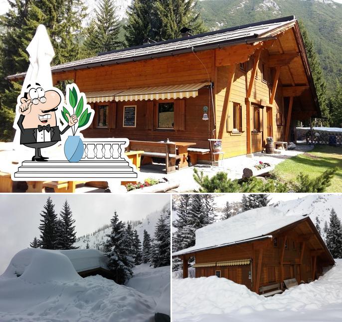 Neue Alplhütte