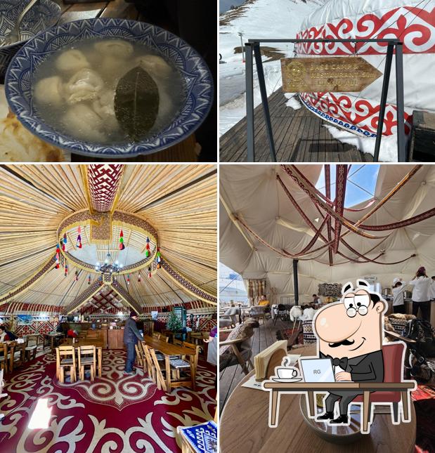 Base Camp Yurta