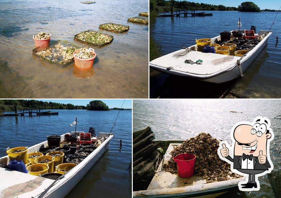 Watch Hill Oysters
