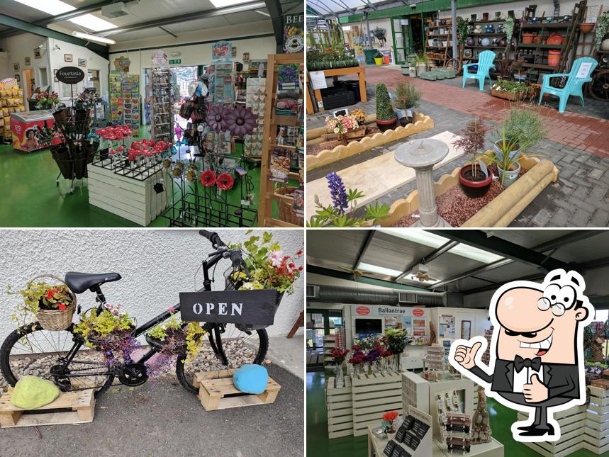 'Trae Bakes at Craigiemains Garden Centre