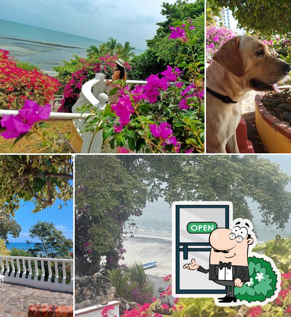 Playa Corona CafeGourmetPtaCorona