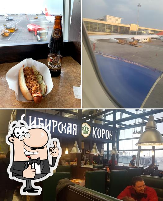 Сибирская корона