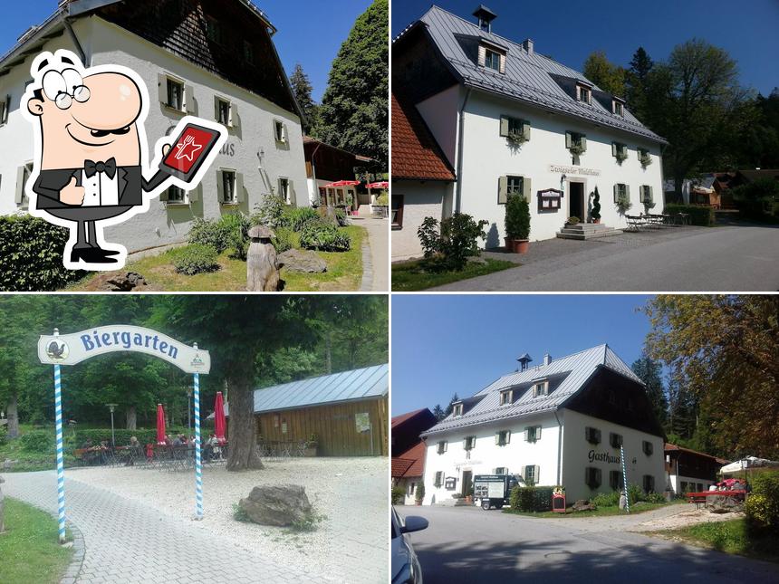 Zwieseler Waldhaus