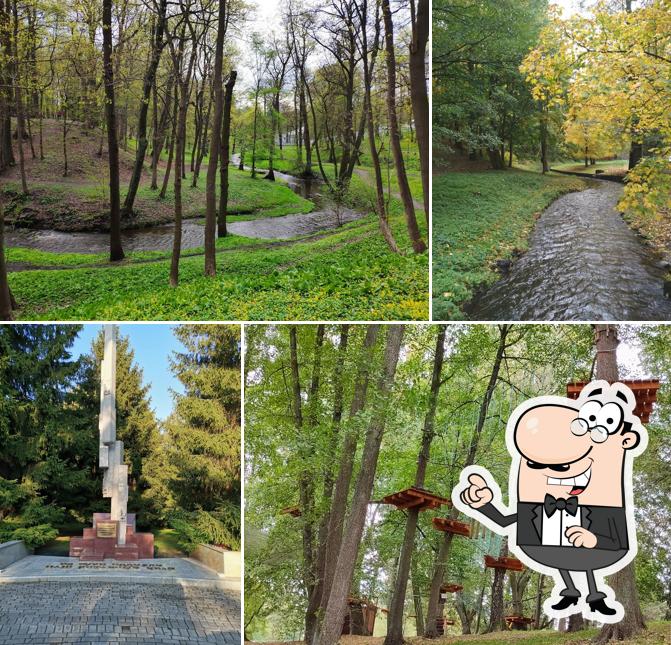 Центральный парк культуры и отдыха