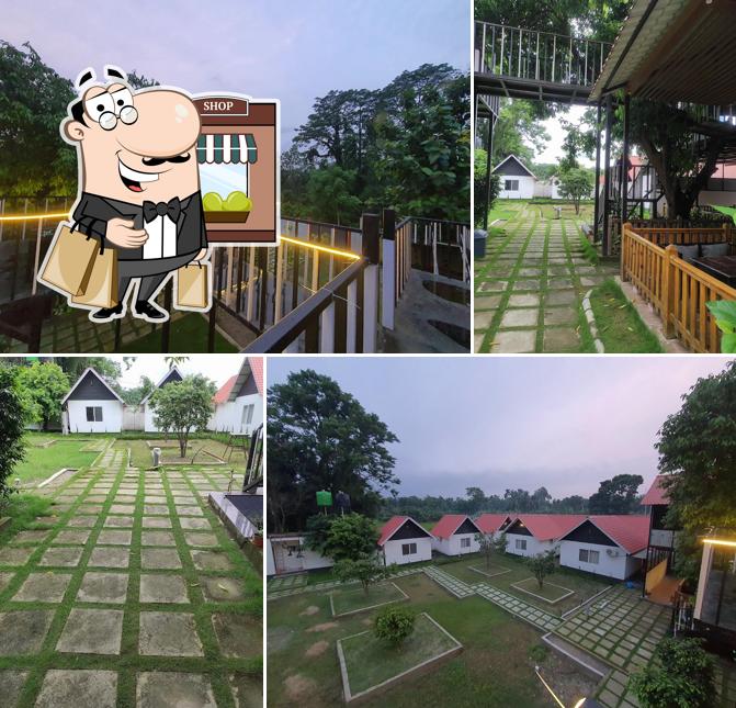 Jungle Point Resort