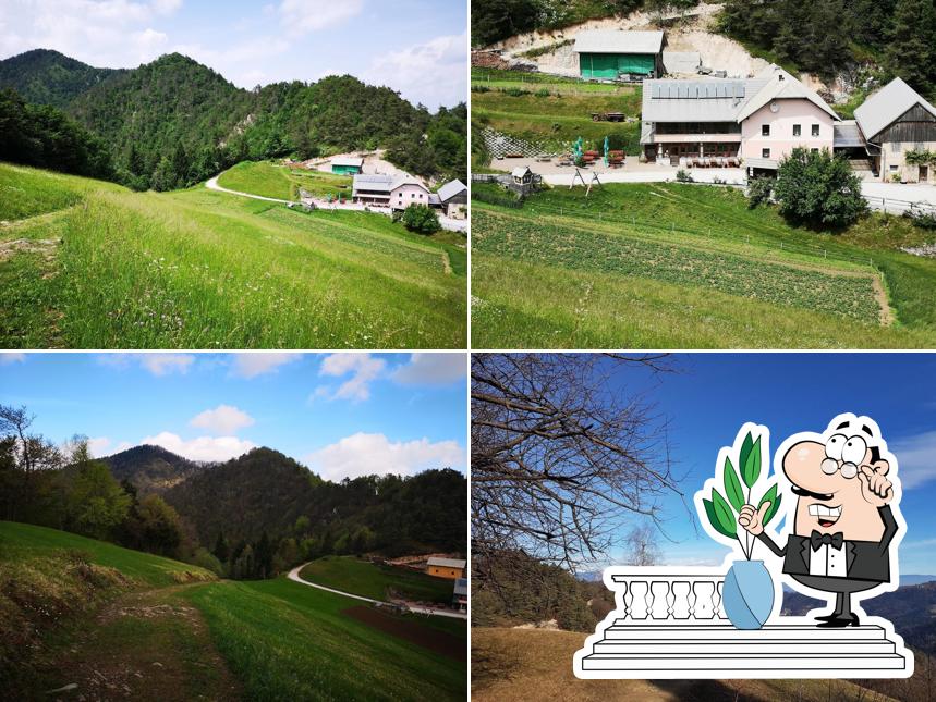 Bista 3, trgovina, gostinstvo in storitve, d.o.o.