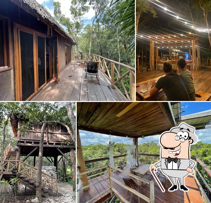 Ajal Tulum Tree Houses