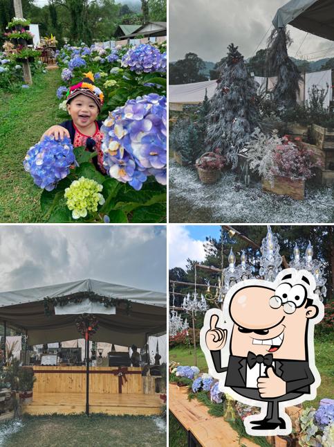 22 Aquarius Glamping Cafe' (ย้ายมาเปิดที่สวน i love flower farm)
