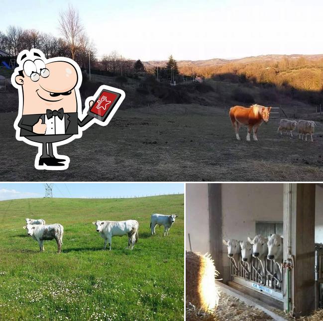 Agriturismo Porcineta