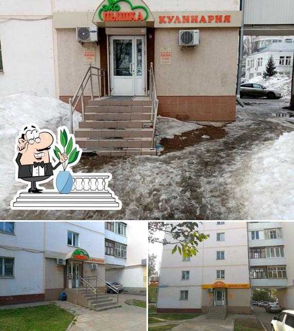 Эко Пышка