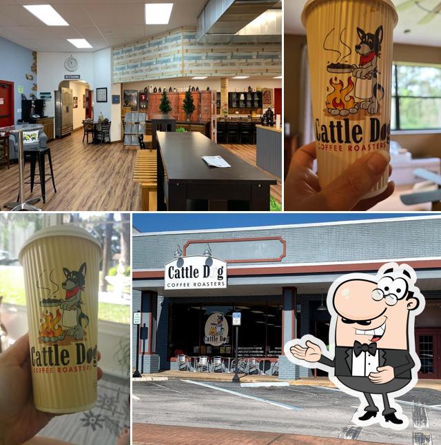 Cattle Dog Coffee Roasters