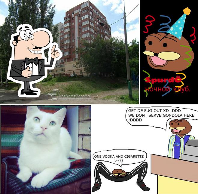 SpurdÖ