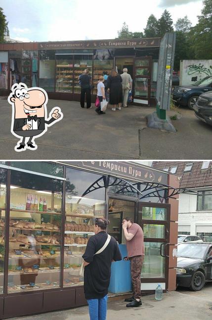 Гемриели Пури