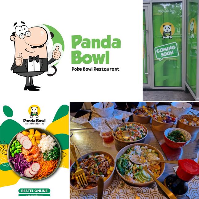 Panda Bowl Hengelo