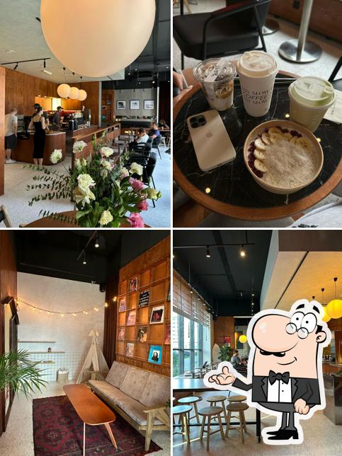 Surf Coffee x Roma