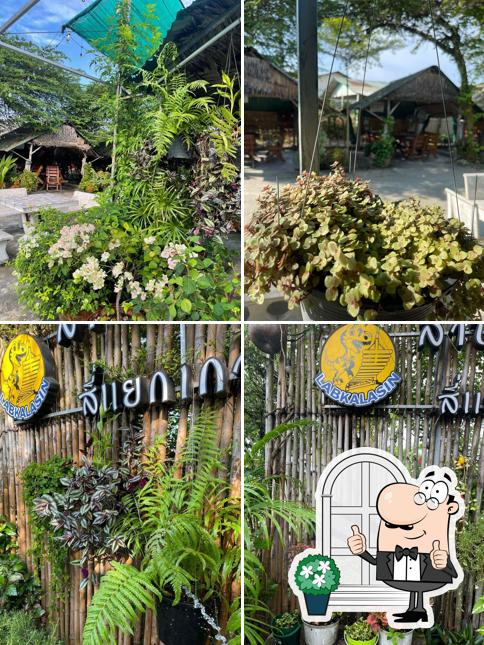 ร้านลาบกาฬสินธุ์สี่แยกเกาะโพธิ์