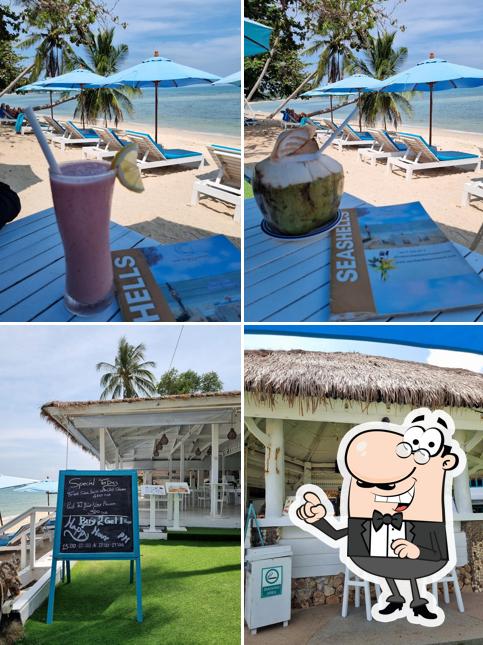 Seashells restaurant
