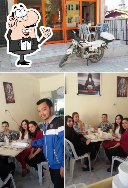 Yeşilova can döner