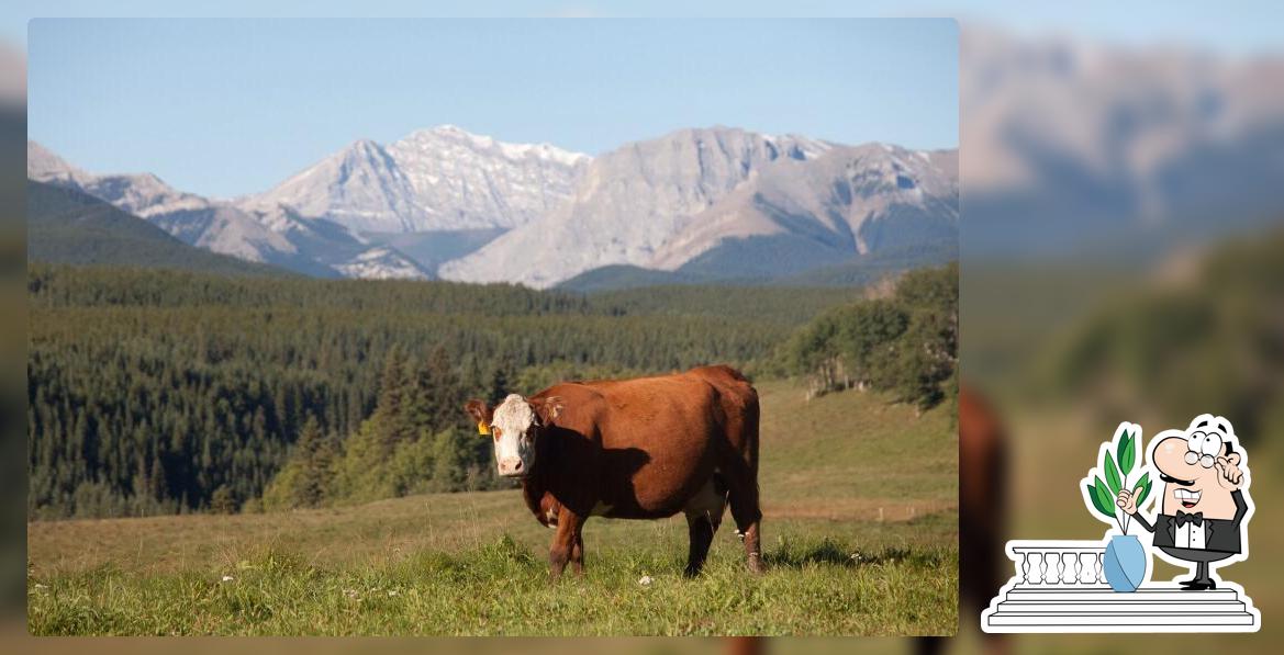 Rocky Mountain Butter Co.