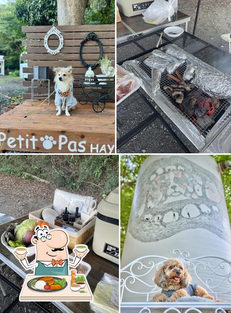 ドッグラン&BBQ Petit Pas HAYAMA (プティパ葉山 )
