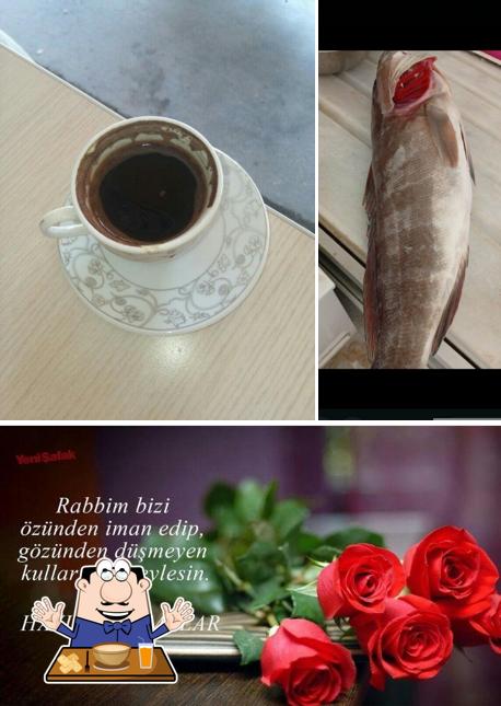 Türkiyem balıkçılık