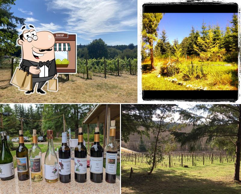 Perennial Vintners