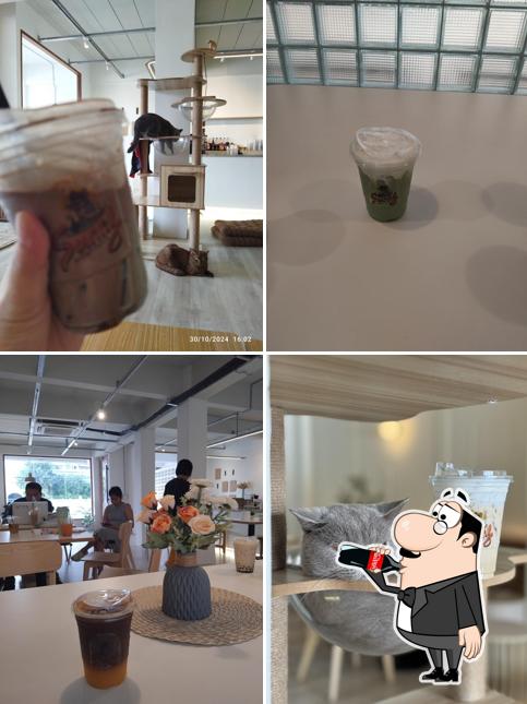 Sunny Afternoon Cafe