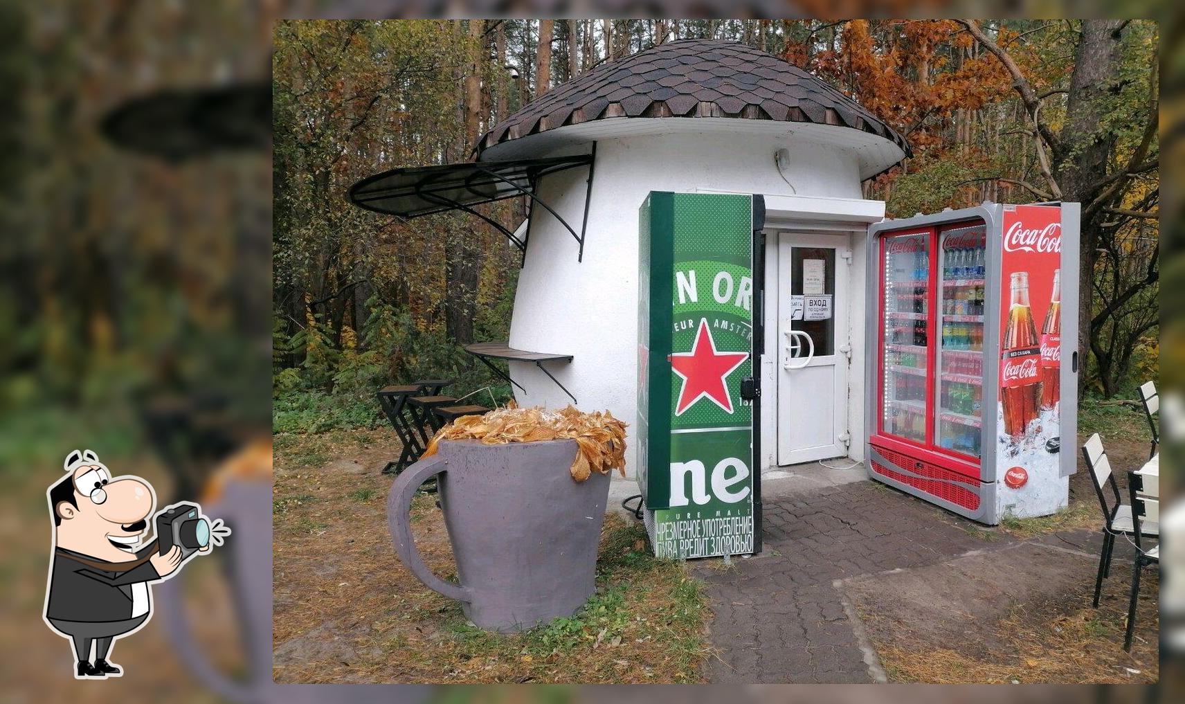 Грибок