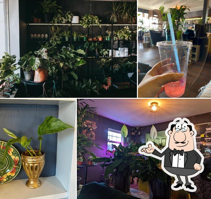 Botanical Brew