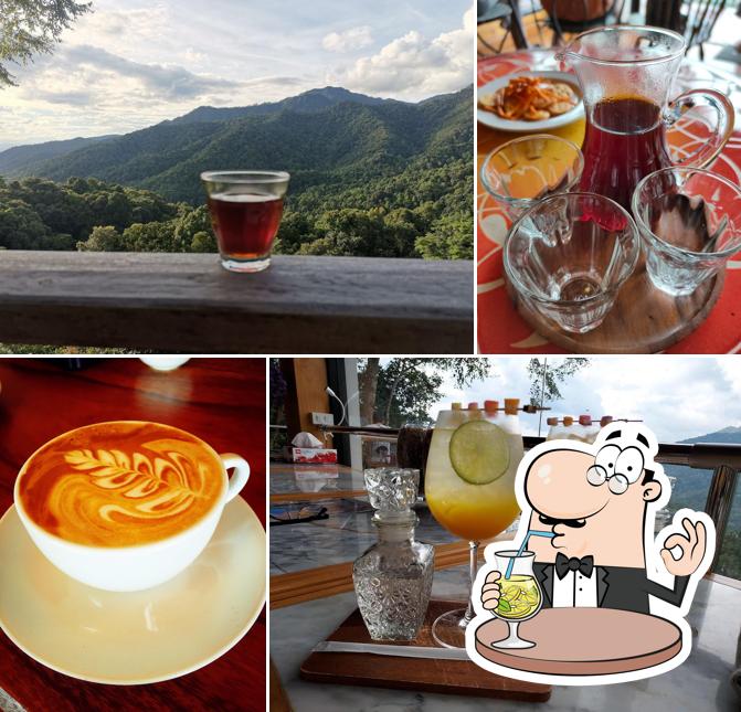 The First Valley - Coffee Academy