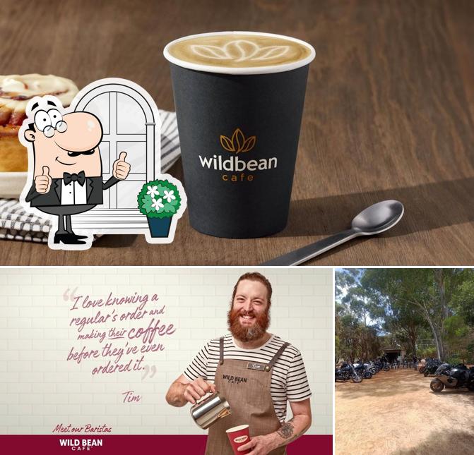 wildbean cafe