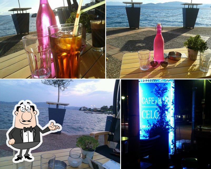 Celona cafe bar